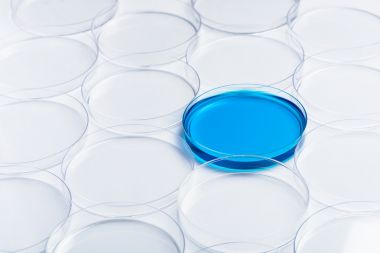 人白介素8(IL-8)酶聯(lián)免疫elisa試劑盒生產(chǎn)廠家 人白介素8(IL-8)酶聯(lián)免疫elisa試劑盒生產(chǎn)廠家