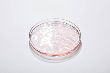 白三烯B4(LTB4)elisa試劑盒 白三烯B4(LTB4)elisa試劑盒